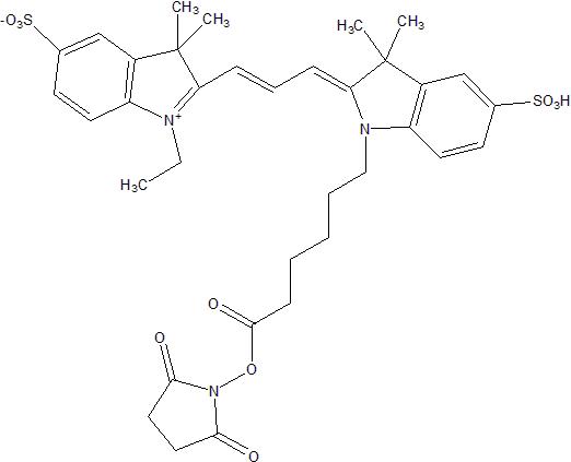 Sulfo Cyanine3 NHS ester