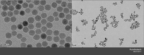Oleic acid modified Fe3O4 nanoparticles