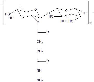 Dextran-Amine