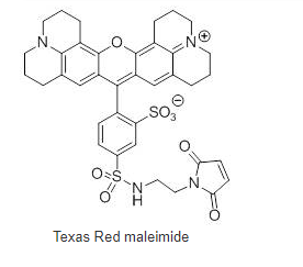Texas Red maleimide