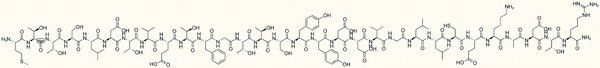 CC Chemokine Receptor 3 Fragment I amide