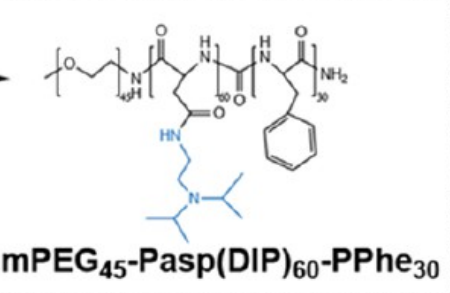 mPEG45-PASP(DIP)60-PPHE30