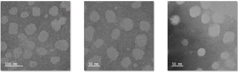 Liposome@CY5.5 surface modification YAGKLLISLSEERISAHHVP-FITC/TPP