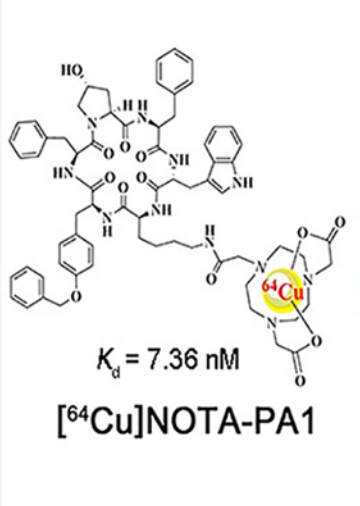 [64Cu]NOTA-PA1 