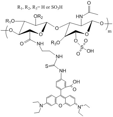 Chondroitin Sulfate-Rhodamine
