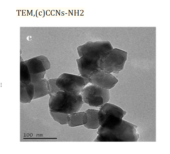 CCNs-NH2,50-70nm 